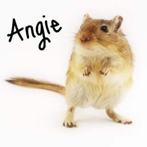 Pieskomil Angie