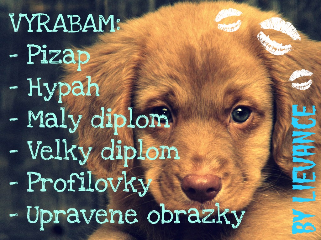 Vyrabam