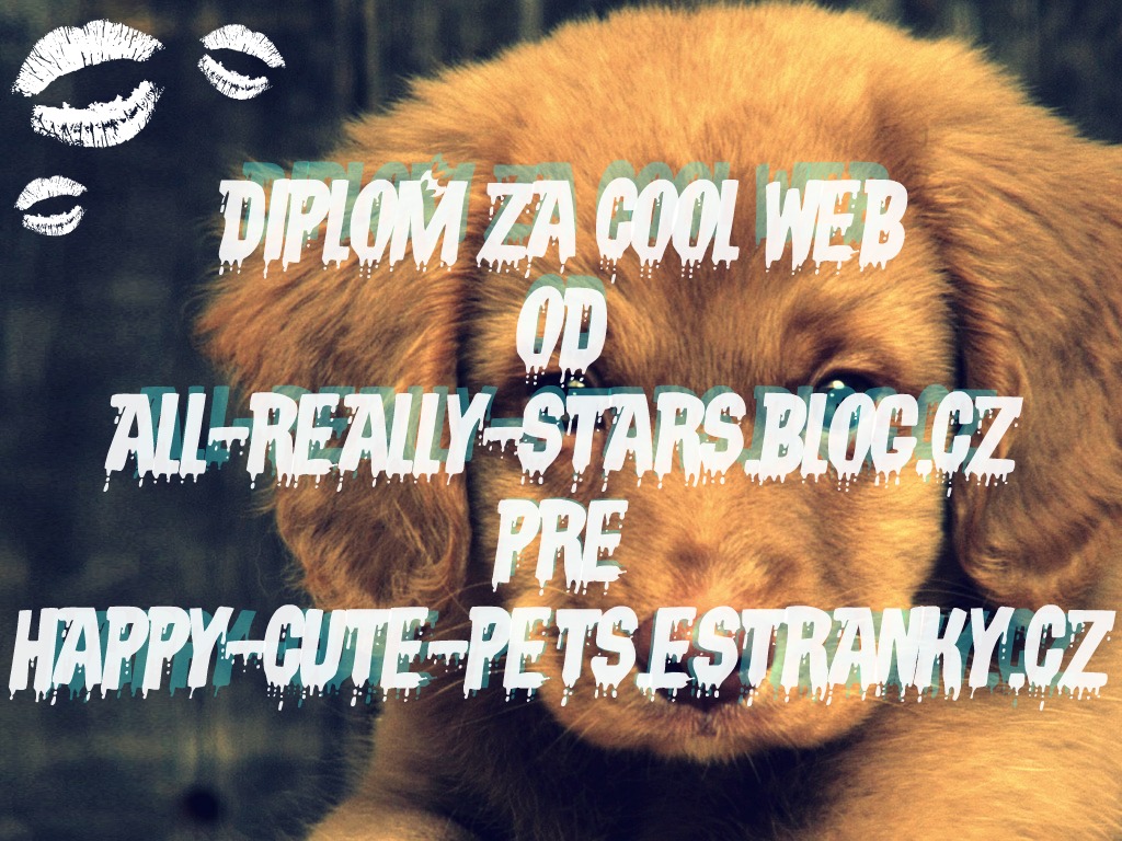 Diplom za cool web