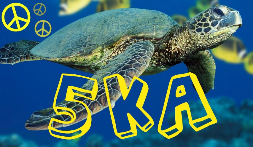 Korytnačka v mori 5ka